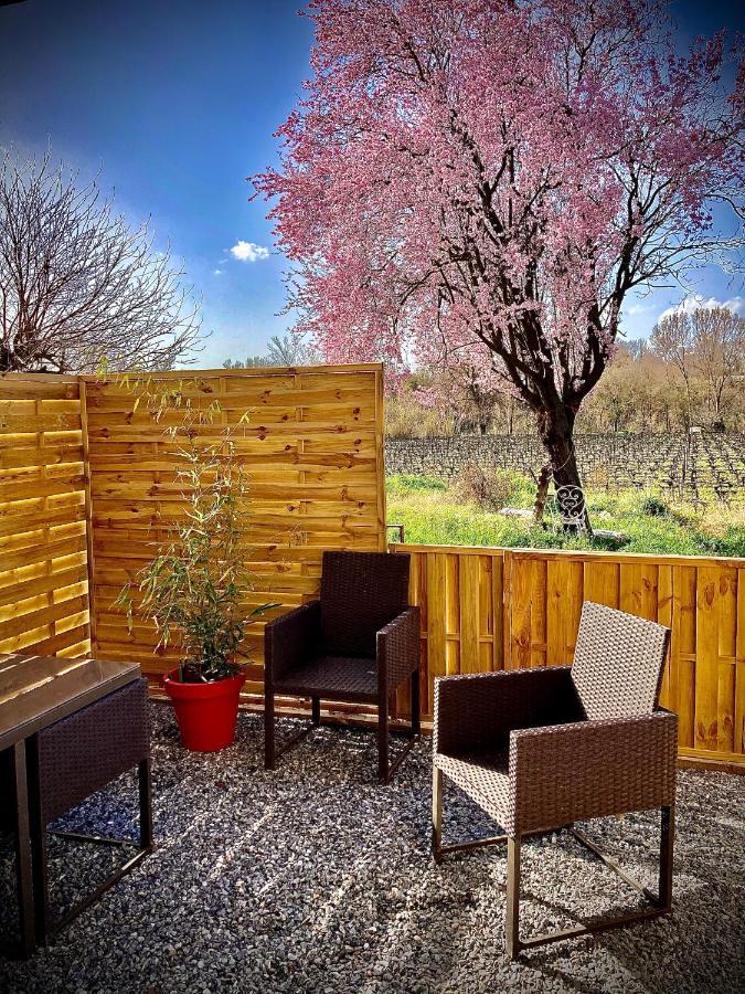Lodging Au Milieu Des Vignes & Des Etoiles Saint-Jean-de-Fos 외부 사진