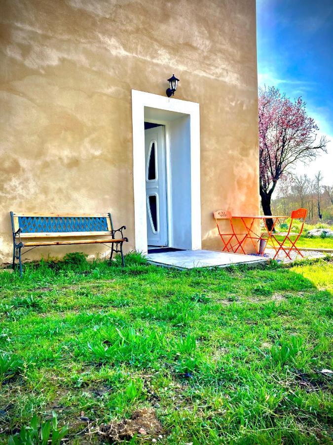 Lodging Au Milieu Des Vignes & Des Etoiles Saint-Jean-de-Fos 외부 사진